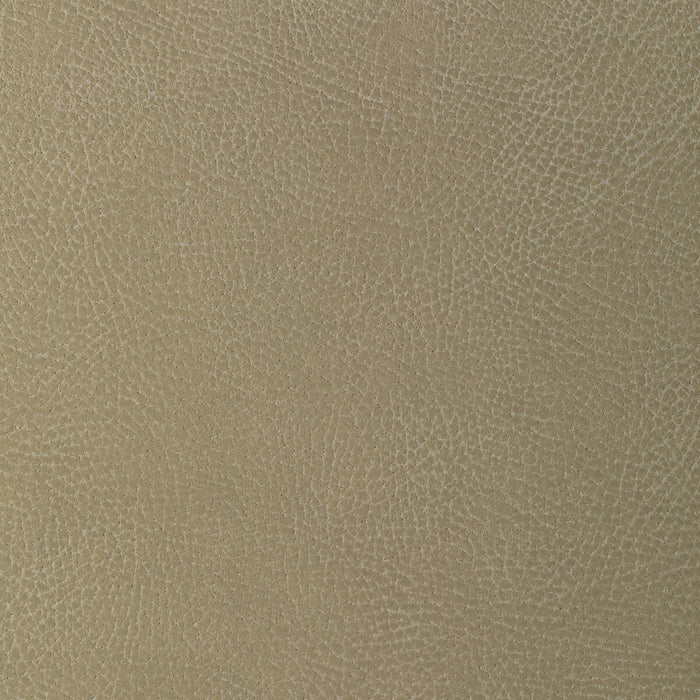 Kravet Design GLENDALE.106.0 Glendale-106 Fabric