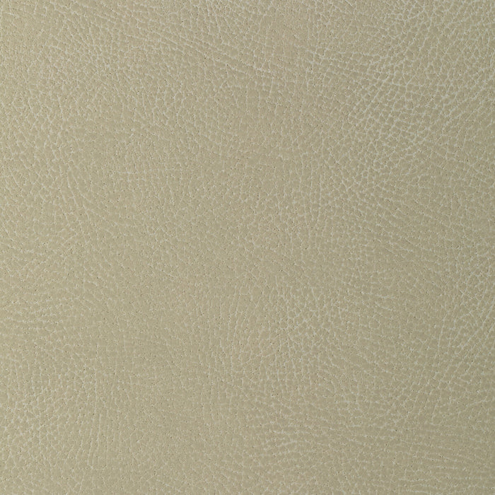 Kravet Design GLENDALE.1111.0 Glendale-1111 Fabric Sample