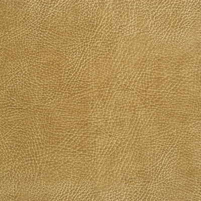 Kravet Design GLENDALE.16.0 Glendale-16 Fabric Sample