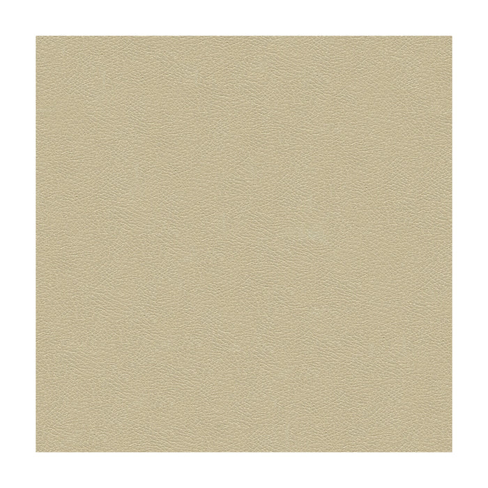 Kravet Design GRANA.1116.0 Grana-1116 Fabric Sample