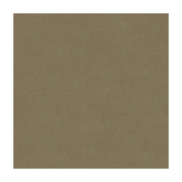 Kravet Design GRANA.11.0 Grana-11 Fabric Sample