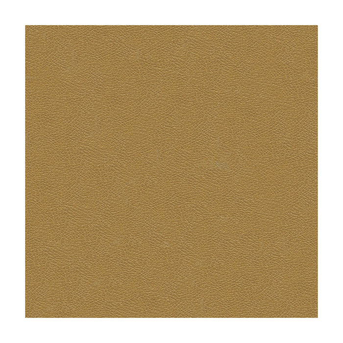 Kravet Design GRANA.1616.0 Grana-1616 Fabric Sample