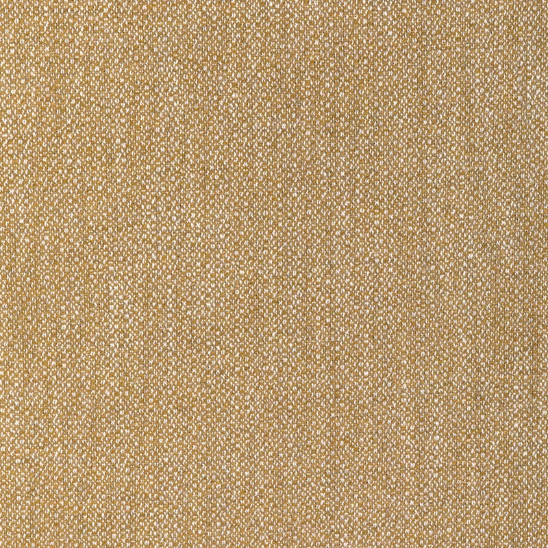 Lee Jofa Modern Torus Glow Fabric Sample GWF-3793.416.0