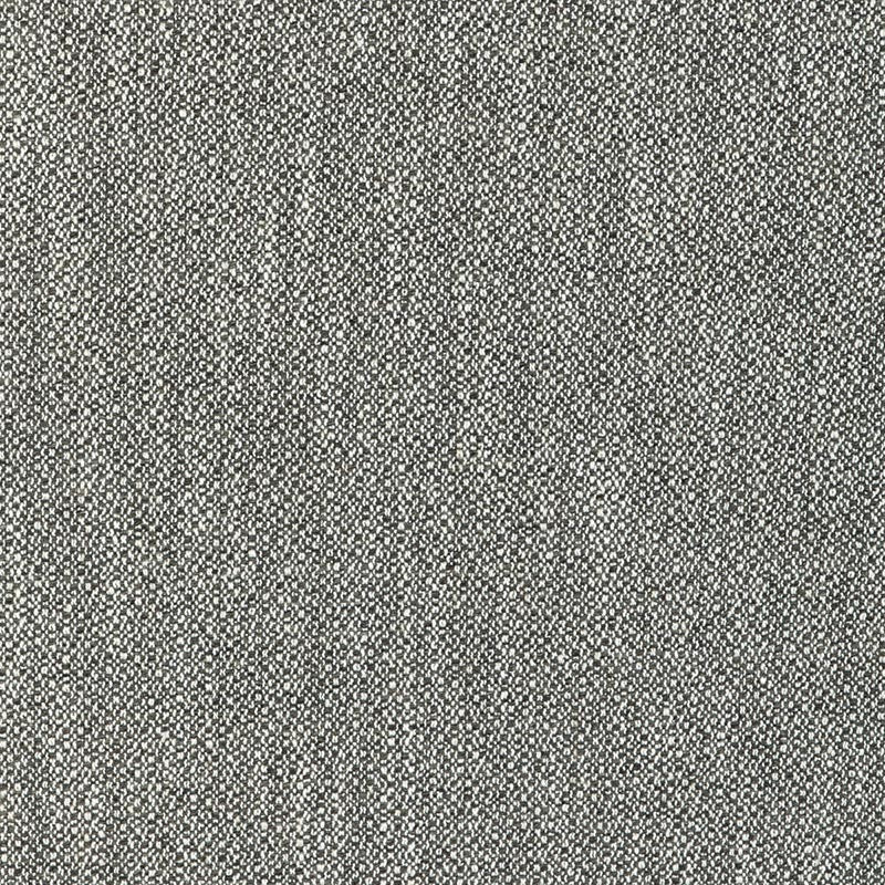 Lee Jofa Modern Torus Flint Fabric Sample GWF-3793.8106.0