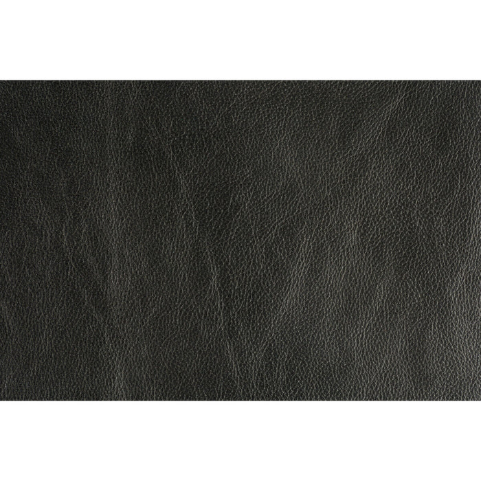Lee Jofa Modern Trophy Graphite Fabric Sample GWL-3406.8.0