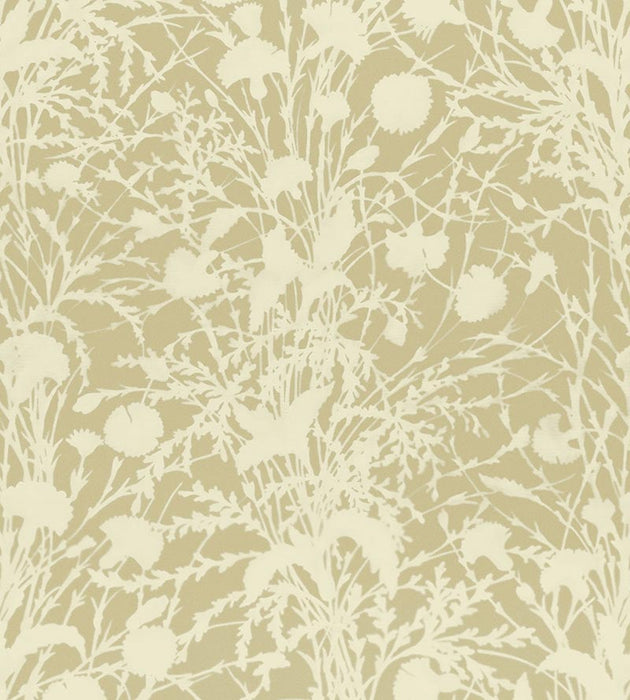 Grey Watkins Wildflower Oat Fabric Sample GW166230001