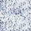 Grey Watkins Jamboree Blues Wallpaper GWWP885070002
