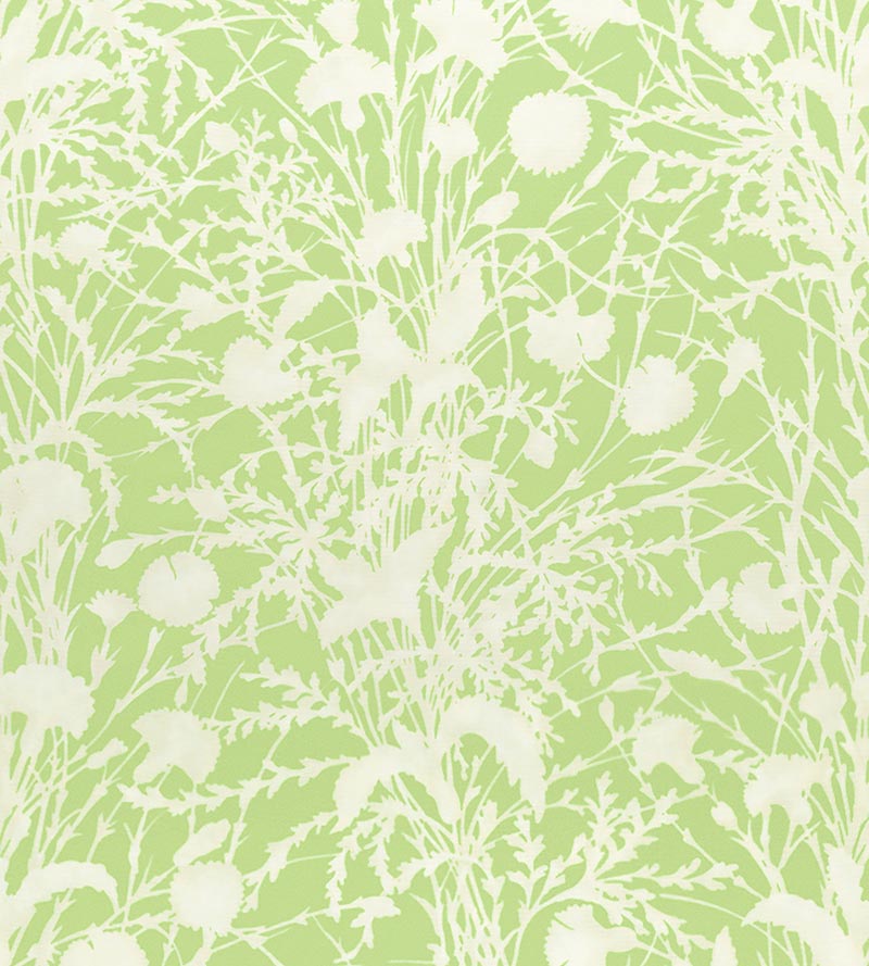 Grey Watkins Wildflower Grasshopper Fabric Sample GW166230003