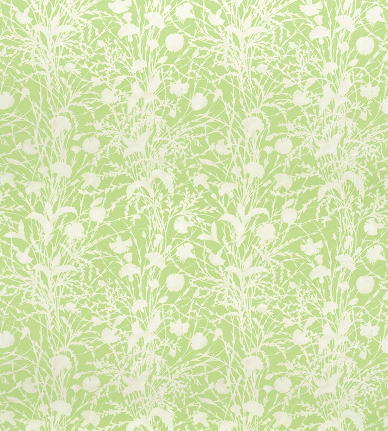 Grey Watkins Wildflower Grasshopper Fabric Sample GW166230003