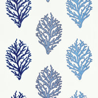 Grey Watkins Coral Reef Embroidery Marine Fabric GW272040003