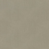 Brentano Galapagos Wood Ash Fabric 3993-05