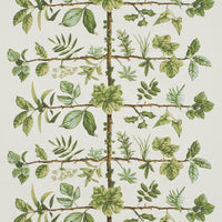 Pierre Frey Espalier Foin Wallpaper FP169002