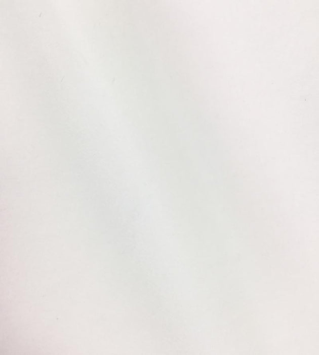Lelievre Cosmos Talc Fabric Sample H003830001