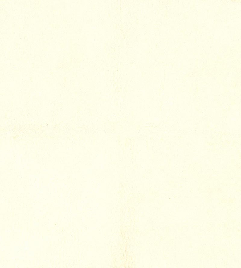 Lelievre Western Craie Fabric H005330001