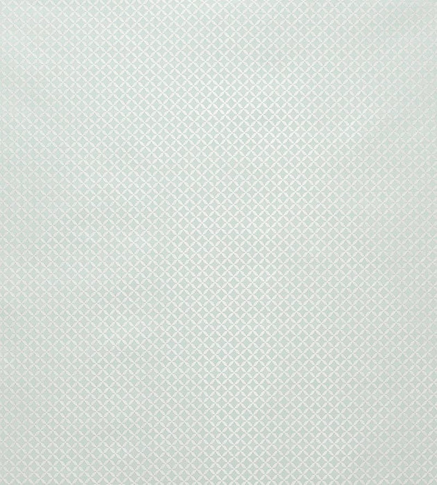 Tassinari & Chatel Guipure Opale Fabric H016990001