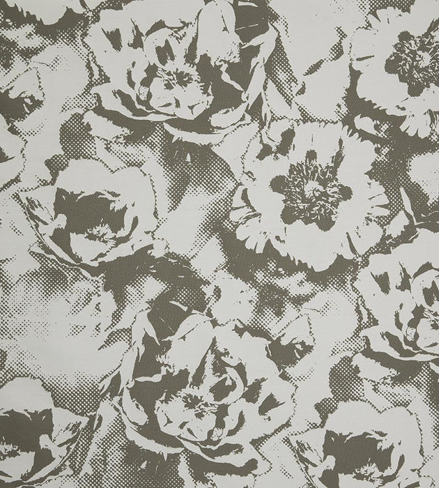 Jean Paul Gaultier Pivonka Anthracite Fabric Sample H034700002