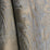 Tassinari & Chatel Trianon Nattier Fabric H016640003