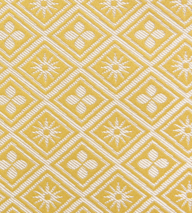 Tassinari & Chatel Corset Or Fabric Sample H016980003