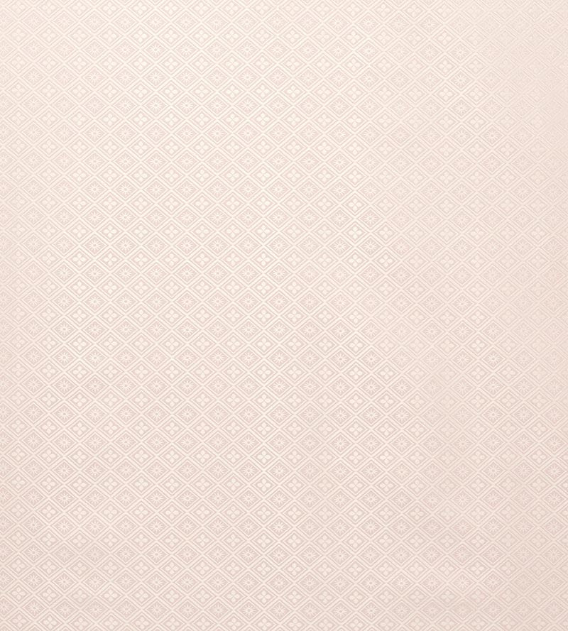 Tassinari & Chatel Corset Poudre Fabric H016980004