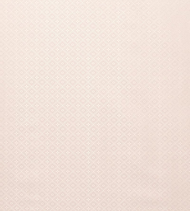 Tassinari & Chatel Corset Poudre Fabric H016980004