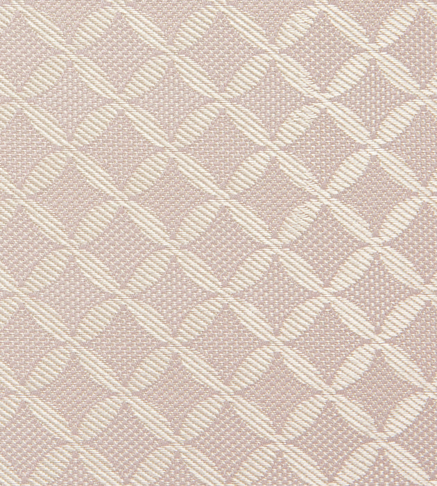 Tassinari & Chatel Guipure Poudre Fabric Sample H016990004