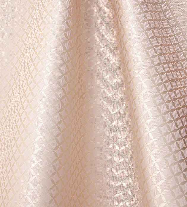 Tassinari & Chatel Guipure Poudre Fabric H016990004