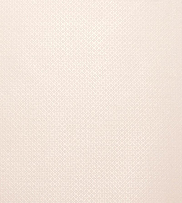 Tassinari & Chatel Guipure Poudre Fabric H016990004