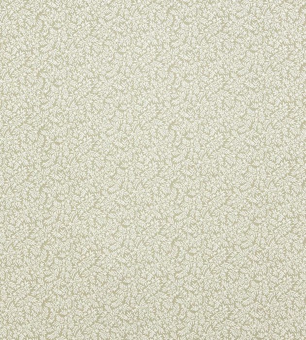 Lelievre Rameaux Naturel Fabric Sample H042450005