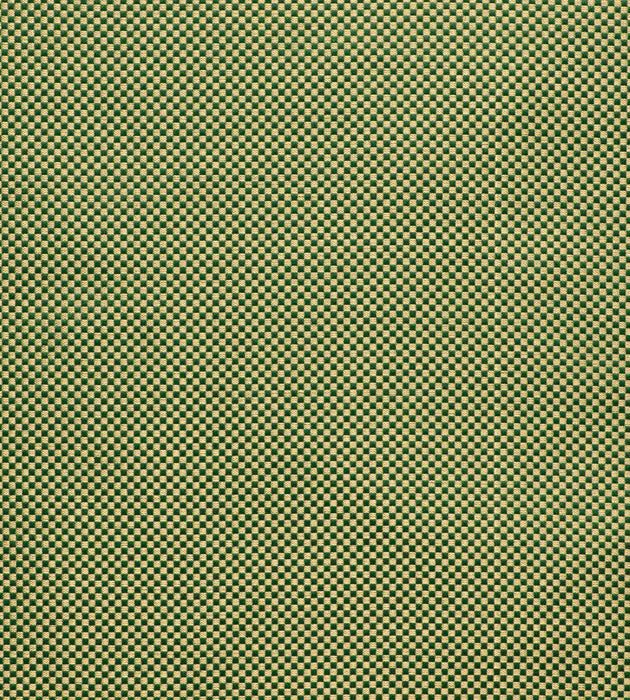 Tassinari & Chatel Da Vinci Myrthe Fabric Sample H016920006