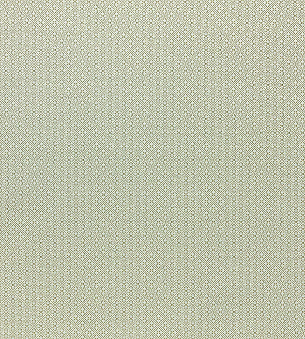 Lelievre Bosquet Celadon Fabric Sample H042440006