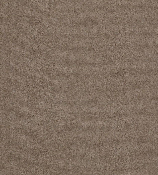 Lelievre Fuji Velour Ficelle Fabric Sample H005520011