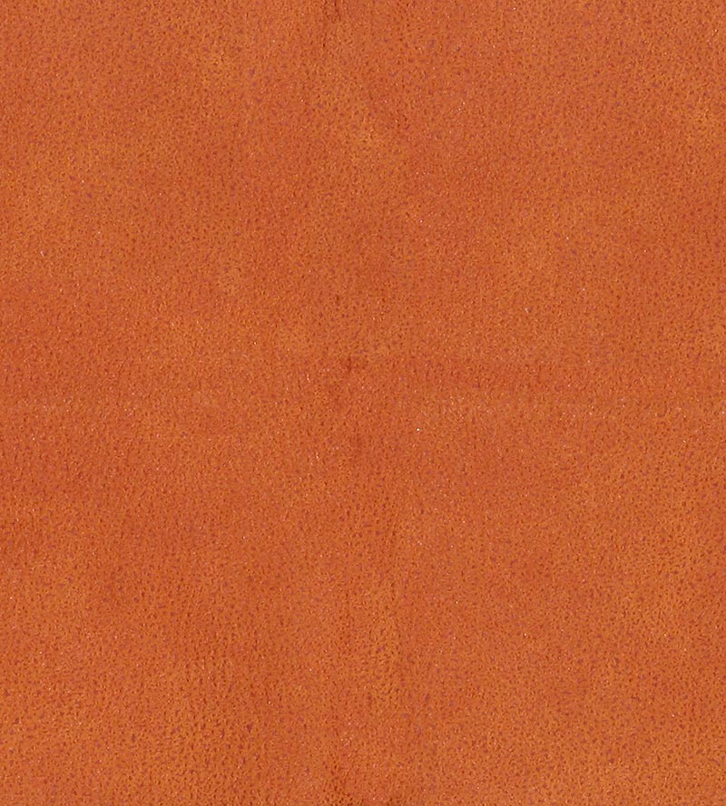 Lelievre Western Fauve Fabric H005330013