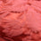 Tassinari & Chatel Couronne De Roses Rouge Fabric Sample H015320021