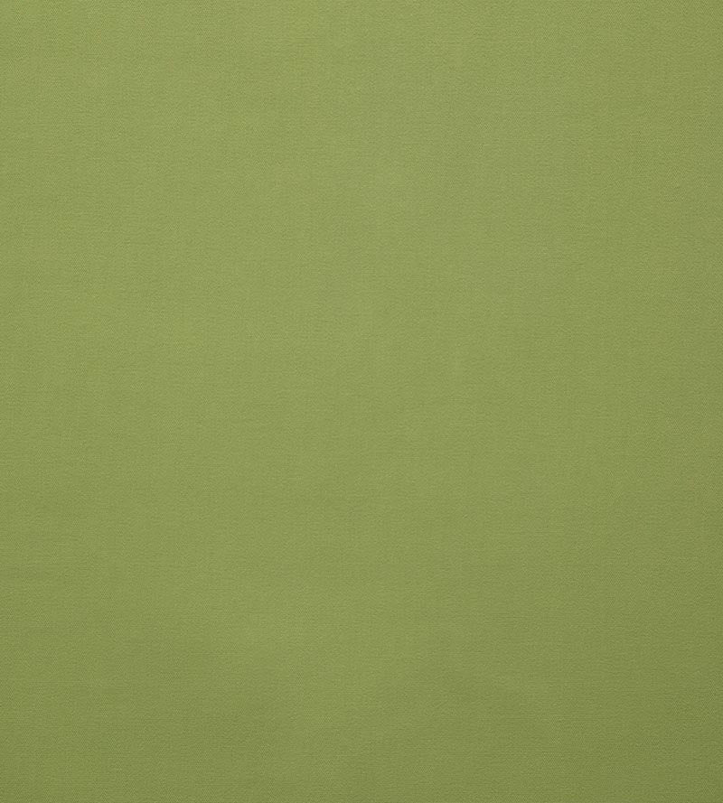 Lelievre Toucan Lime Fabric H005580027