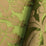 Tassinari & Chatel Couronne De Roses Vert Fabric Sample H015320029