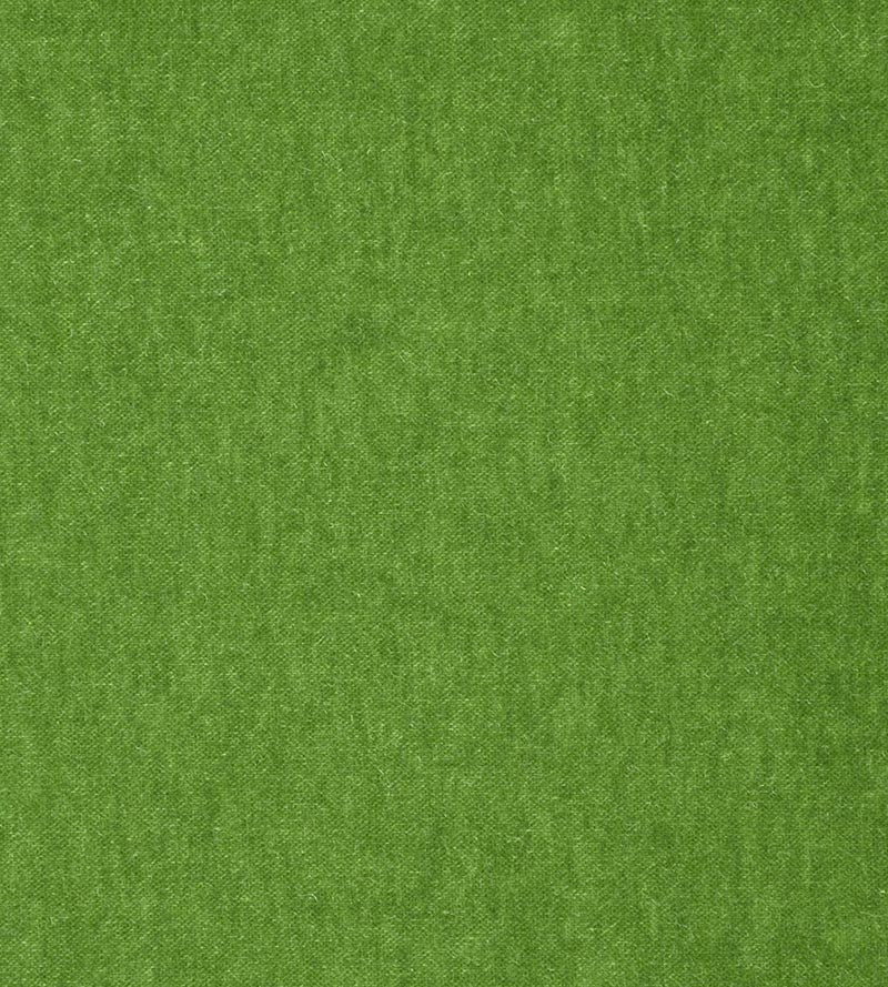 Lelievre Chaulnes Mousse Fabric H003790045