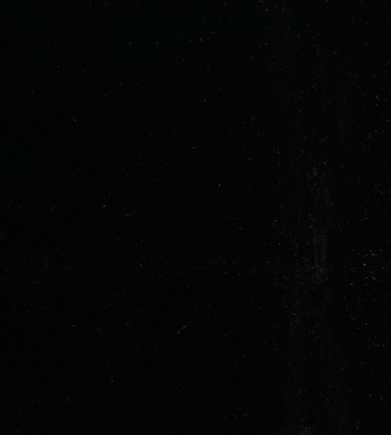Lelievre Cosmos Noir Fabric Sample H003830049