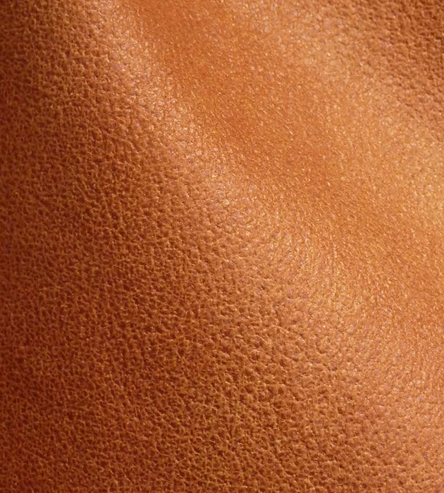 Lelievre Western Tabac Fabric Sample H005330005