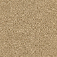 Kravet Design HAMMER.11.0 Fabric