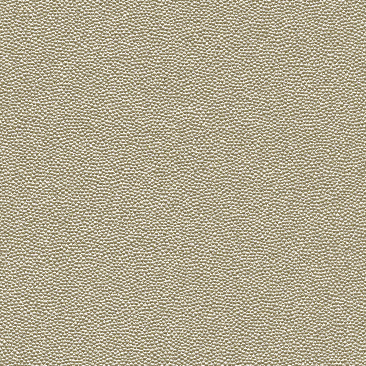 Kravet Design HAMMER.1101.0 Fabric Sample