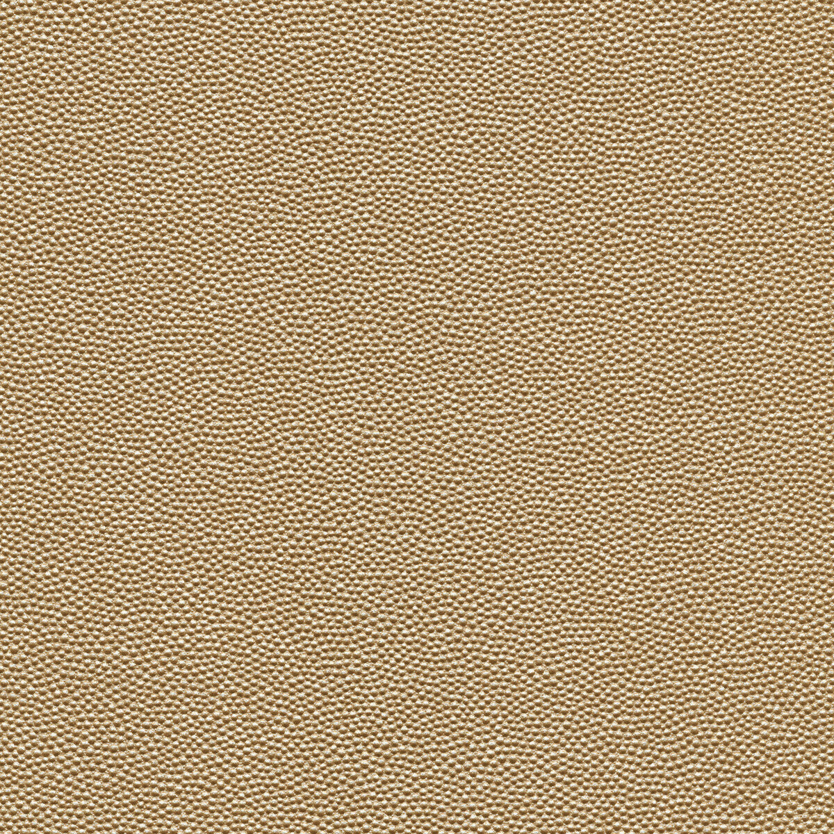 Kravet Design HAMMER.11.0 Fabric Sample