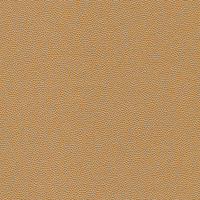 Kravet Design HAMMER.16.0 Fabric
