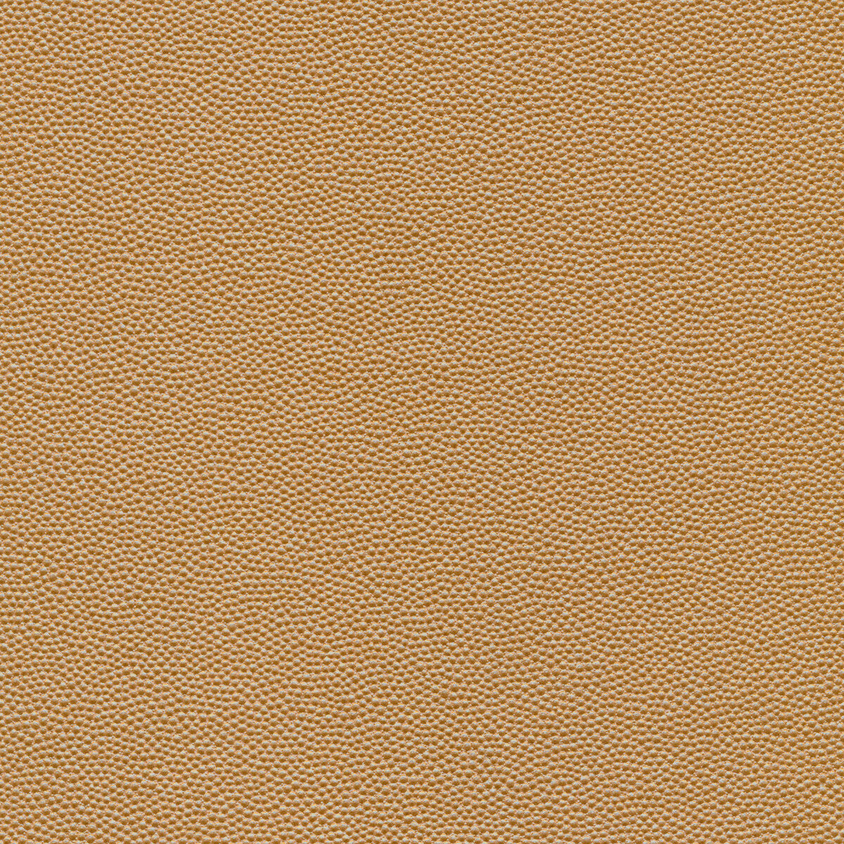 Kravet Design HAMMER.16.0 Fabric Sample