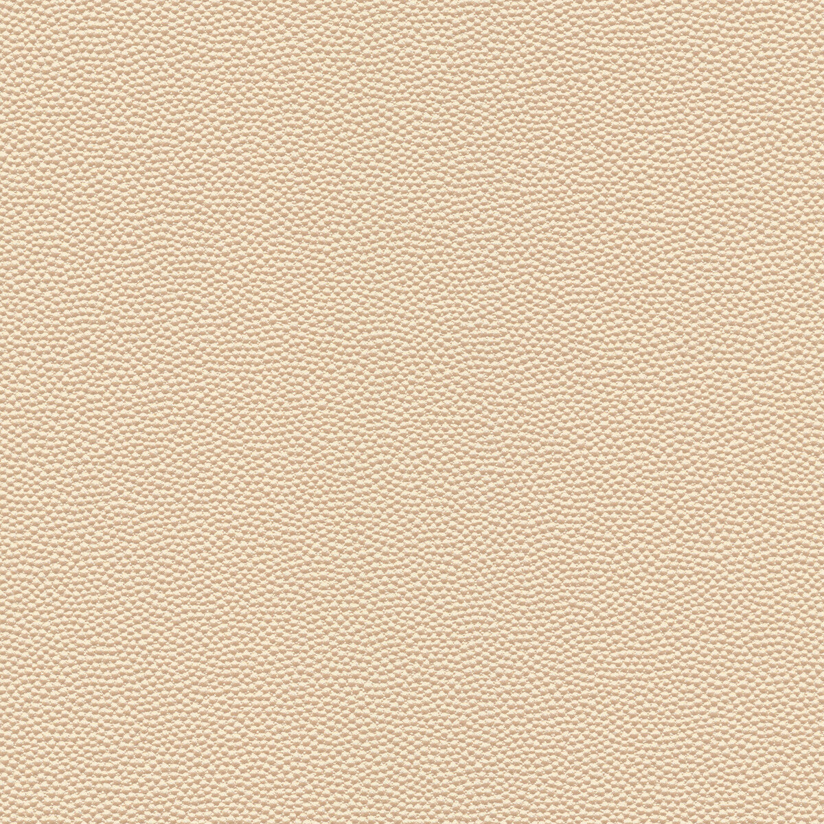 Kravet Design HAMMER.1.0 Fabric Sample