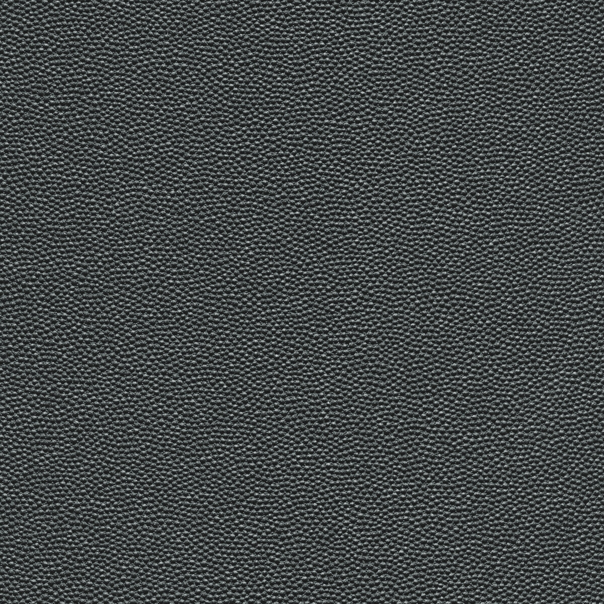 Kravet Design HAMMER.21.0 Fabric Sample