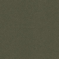 Kravet Design HAMMER.3.0 Fabric