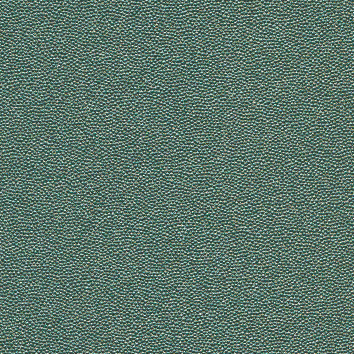 Kravet Design HAMMER.35.0 Fabric Sample