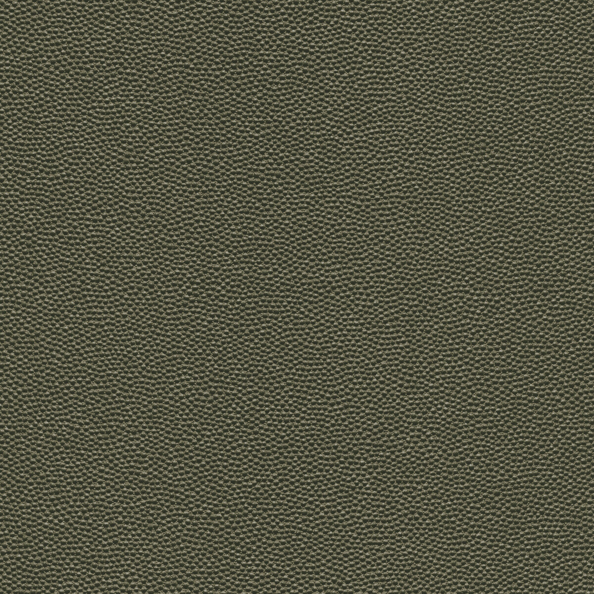 Kravet Design HAMMER.3.0 Fabric Sample