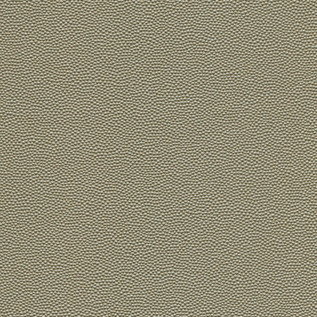 Kravet Design HAMMER.52.0 Fabric Sample