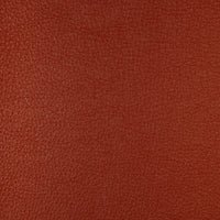 Kravet Design HARMONY.24.0 Fabric